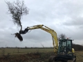 tree shear 10