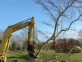 tree shear 2