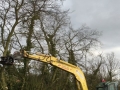 tree shear 4