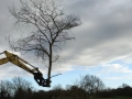 tree shear 5