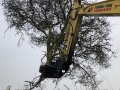 tree shear 6