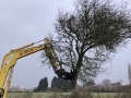 tree shear 7